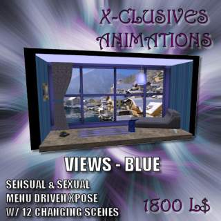 X-CLUSIVES ANIMATIONS VIEWS - BLUE.png